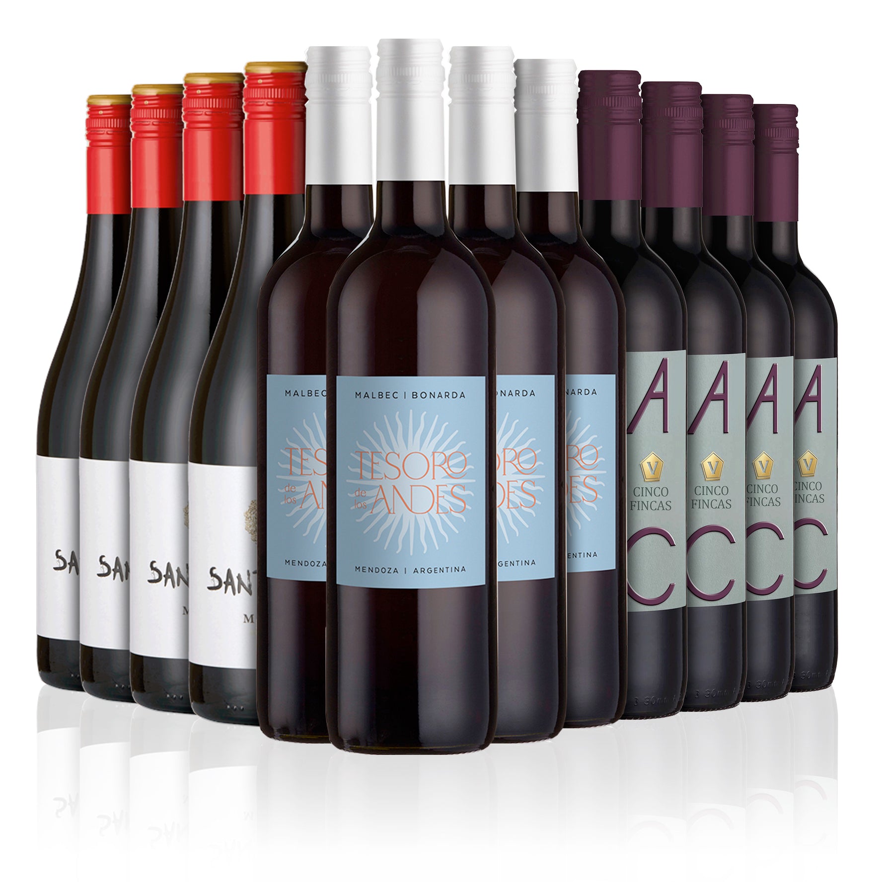 Malbec Wine Lovers Pack Six Bottles of Exceptional Malbec from Argentina
